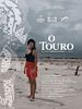 Pôster de O Touro