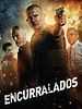 Pôster de Encurralados