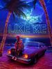 Pôster de Like Me