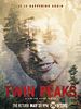 Pôster de Twin Peaks