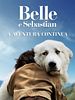 Pôster de Belle e Sebastian - A Aventura Continua