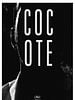 Pôster de Cocote