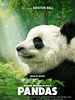 Pôster de Pandas