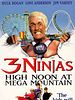Pôster de 3 Ninjas: Aventura na Mega Mountain