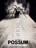 Pôster de Possum