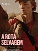 Pôster de A Rota Selvagem
