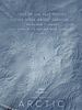 Pôster de Arctic