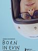 Pôster de Born in Evin