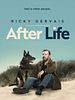 Pôster de After Life
