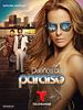 Pôster de A Dona do Paraíso