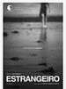Pôster de Estrangeiro