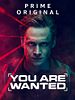 Pôster de You Are Wanted
