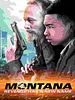 Pôster de Montana