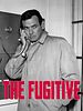 Pôster de The Fugitive