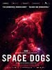 Pôster de Cães do Espaço