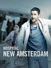 Pôster de Hospital New Amsterdam