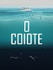 Pôster de O Coiote