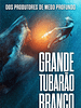 Pôster de Grande Tubarão Branco