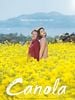 Pôster de Canola