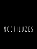 Pôster de Noctiluzes