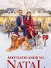 Pôster de Adotando Amor no Natal