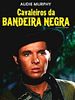 Pôster de Cavaleiros da Bandeira Negra