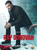 Pôster de Ray Donovan