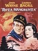 Pôster de Rota Sangrenta