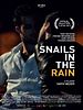 Pôster de Snails in the Rain