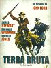 Pôster de Terra Bruta