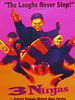 Pôster de 3 Ninjas