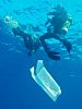 Pôster de Oceanos de Plástico