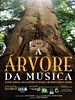 Pôster de A Árvore da Música