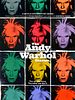 Pôster de Diários de Andy Warhol