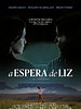 Pôster de A Espera de Liz
