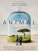 Pôster de Animal