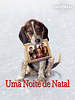 Pôster de Um Natal em Família