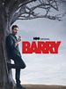 Pôster de Barry