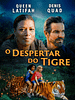 Pôster de O Despertar do Tigre