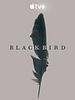 Pôster de Black Bird