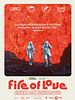 Pôster de Fire of Love