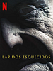 Pôster de Lar dos Esquecidos