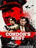 Pôster de Missão Condor