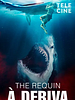 Pôster de The Requin - À Deriva