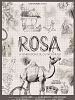 Pôster de Rosa – A narradora de outros Brasis