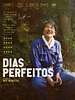Pôster de Dias Perfeitos