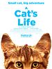 Pôster de A Cat's Life