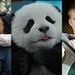 Sessão da Tarde: Descubra os filmes que vão passar na TV Globo nesta semana (21 a 25 de setembro de 2026)