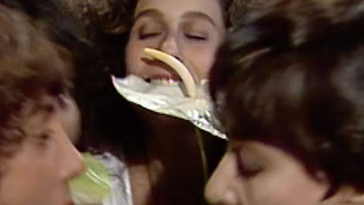 A Flor de Jorge Tadeu