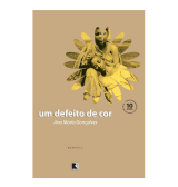 Um defeito de cor, Ana Maria Gonçalves